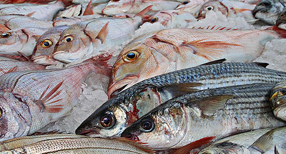 El pescado posee muchos nutrientes. (Foto: Pixabay)