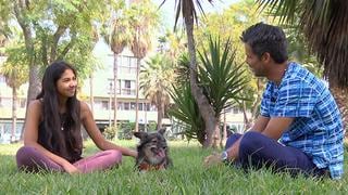 WUF y Latina unidos por el bienestar de los perros