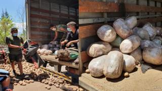 Ayacucho: camión llevaba 74 kg de marihuana ocultos dentro de sacos de papas 