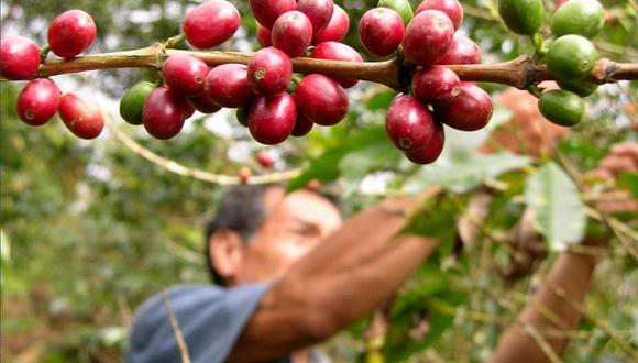 El ministro de Comercio Exterior y Turismo, Roberto Sánchez, destacó hoy el desempeño de las exportaciones regionales del interior del país, y reveló que, entre enero y mayo último, estas ascendieron a US$ 20.053 millones, monto 15% mayor respecto al mismo periodo de 2021.