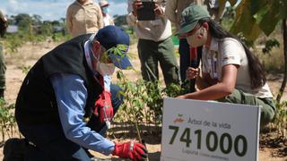 Gobierno termina reforestación al 100% de zonas afectadas por la minería ilegal en la reserva Tambopata