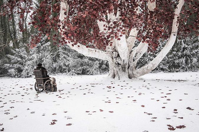 Bran Stark visita en Arciano que se encuentra en Winterfell  (Foto: HBO)