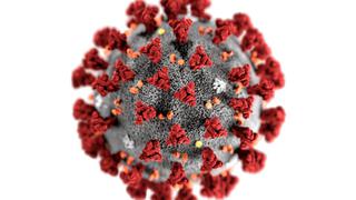 Coronavirus | Qué se sabe sobre la mutación del virus (y qué significa esto para la lucha contra la pandemia)