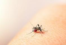 ¿Cómo identificar el zancudo del dengue y prevenir su propagación?