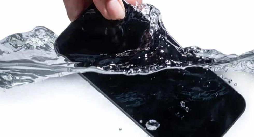 Androide |  ¿Qué debes hacer si tu celular se cae al agua?  Truco 2024 |  nnda |  nnni |  DATOS