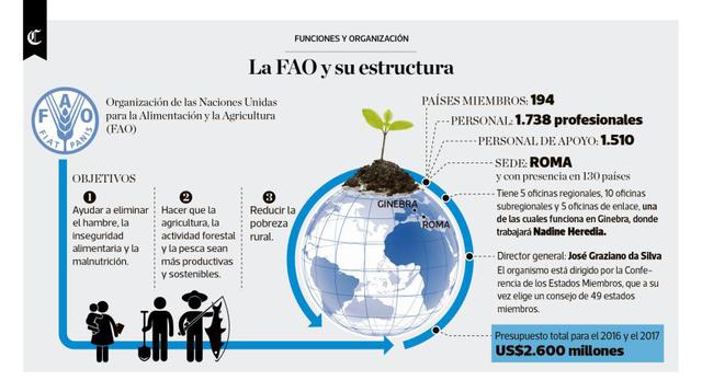 Infografía del día: funciones y organización de la FAO - 1