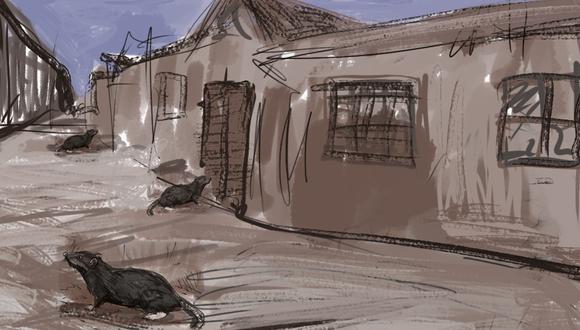 “Las casas comerciales, almacenes y depósitos tendrán el mayor aseo posible, pues allí anidan las ratas”. (Ilustración: Giovanni Tazza).