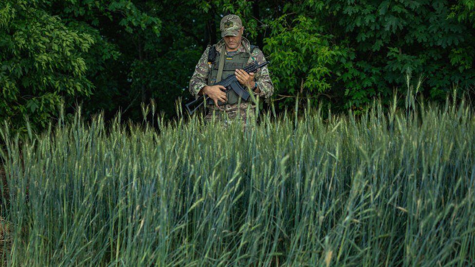 A Ukrainian soldier in his position surrounded by wheat plants near the front.  (GETTY IMAGES).