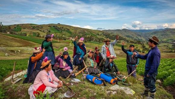 Conoce más sobre el bono Wanuchay en la nota. (Foto: Andina)