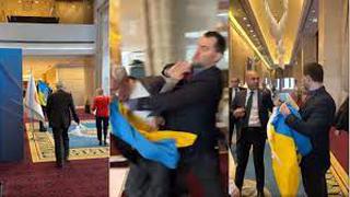 ¿Por qué un diputado ucraniano golpeó a un delegado ruso en la cumbre de Turquía?