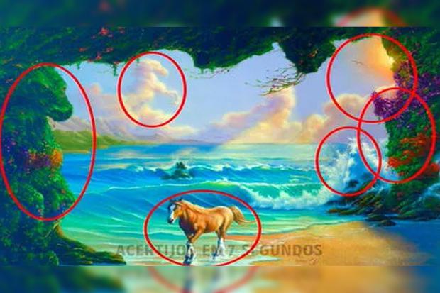 Aqui mostramos a localização de cada um dos cavalos mostrados na imagem do quebra-cabeça visual.| Foto: namastest