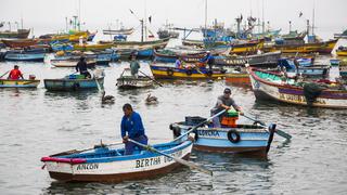 Perú: nuevo estudio indica que aumento explosivo de la flota artesanal ha empobrecido a los pescadores 