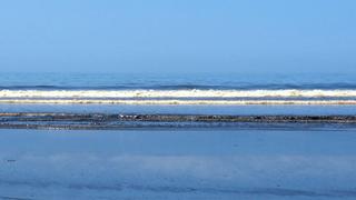 Alcalde de Santa Rosa exige a Repsol retirar el petróleo de sus playas