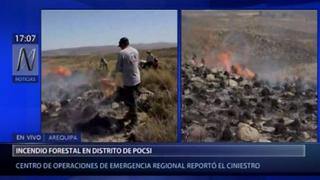 Arequipa: nuevo incendio forestal se registra en distrito de Pocsi | VIDEO