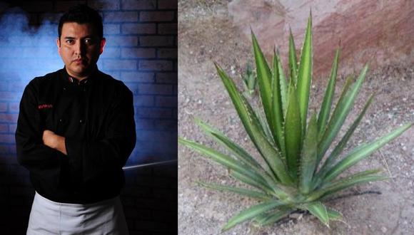 Ricardo Ruiz ha desarrollado una línea de productos a base de agave andino con bajo índice glucémico. (Foto: Difusión)
