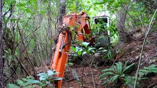 El secreto de una excavadora abandonada por 16 años en Nueva Zelanda sorprendió al mundo