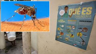 Virus de Chikungunya: “No tenemos casos autóctonos”