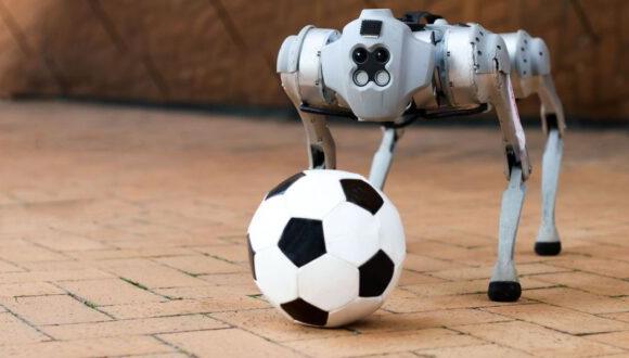 Este perro robótico juga al fútbol: es capaz de mover el balón sobre arena, nieve, grava y más terrenos. (Foto: Mike Grimmett/MIT CSAIL)