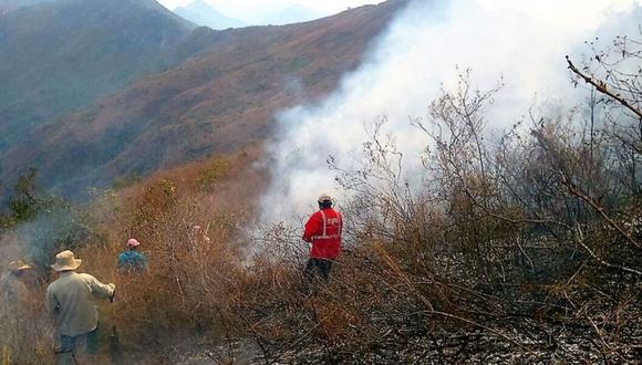 Incendios forestales: fuego arrasó con más de 50 mil hectáreas