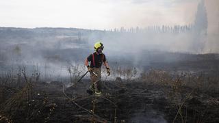 Cómo el fuego en los bosques de Europa es “solo una versión previa” de lo que está por venir