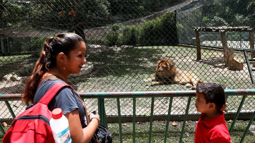 ¿En riesgo de inanición?: Animales de zoológico en Venezuela - 3