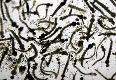 NASA ayuda a científicos a evitar la propagación del zika 