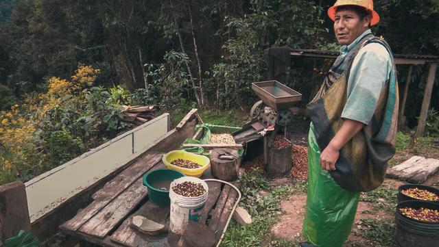 Café de Oro de Puno realizó su primera exportación a Rusia