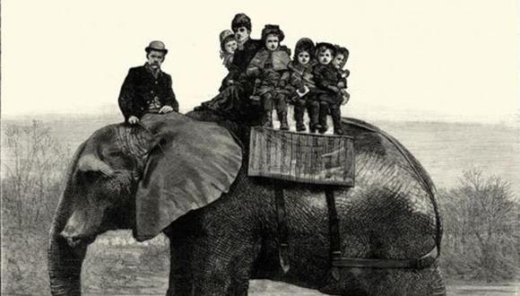 Jumbo era muy popular entre los niños, incluyendo los hijos de la Reina Victoria. (Foto: Wiki Commons)