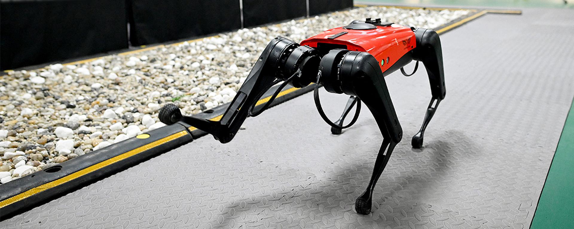Robots zoomórficos: cuando la tecnología logra imitar los atributos de los animales