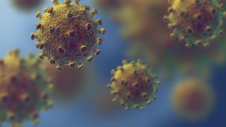Rusia dice que se están probando 30 medicamentos contra coronavirus en China 