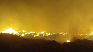 Ancón: reportan que bomberos atienden incendio forestal a la altura del Km 42 de la Panamericana Norte