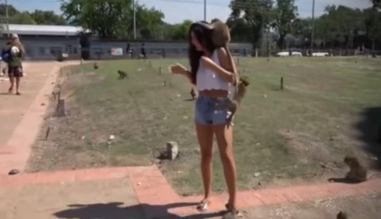 En Facebook se vio el video de la escena en que una modelo la pasa mal por culpa de unos monos salvajes que le jalan el cabello y la ropa. Esto sucedió en Tailandia y se hizo viral entre los usuarios de las redes sociales. (Foto: Captura)