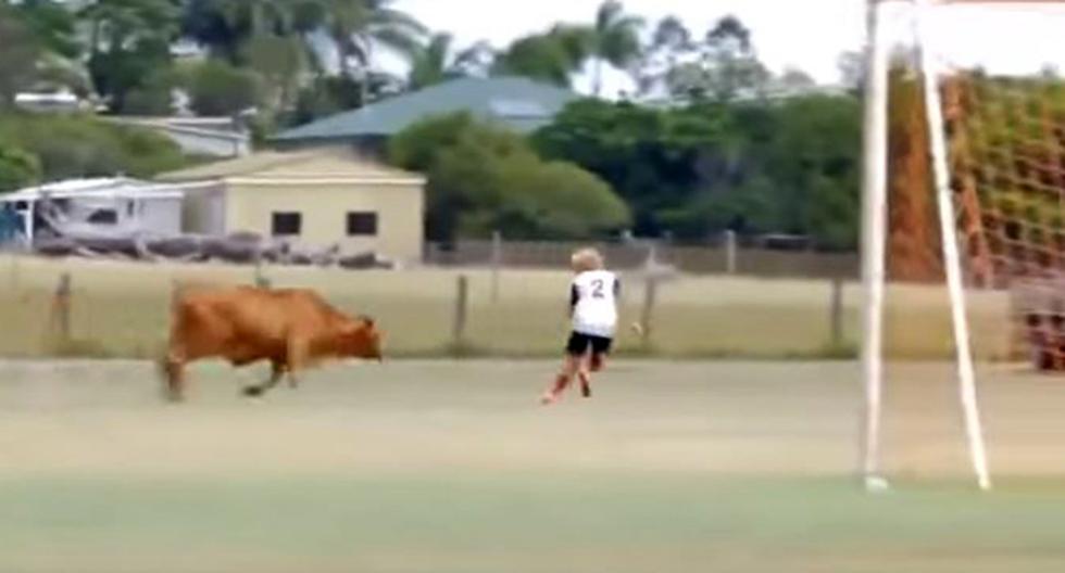 En un partido de fútbol en Australia, un toro invadió el campo y atacó a los jugadores. (Video: YouTube)