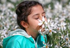 “Gimnasia para la nariz”: qué es el entrenamiento del olfato y por qué genera tanto interés durante la pandemia