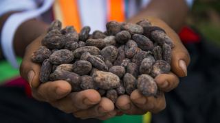 Choco Fest: feria celebrará al chocolate y cacao peruanos
