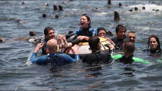 Fomentan turismo a islotes Palomino con tarifa plana de ingreso