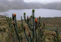 Cambio climático: españoles estudian impacto en los Andes