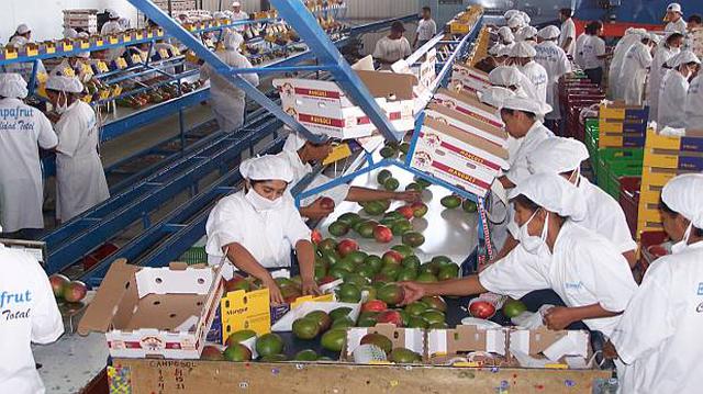 Envíos de mango a Corea del Sur se incrementan 214% a noviembre - 2