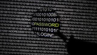 Regin: el software de espionaje que roba datos desde el 2008