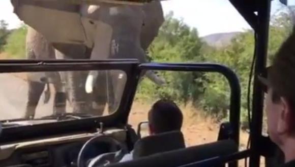 Arnold Schwarzenegger, perseguido por un elefante en Sudáfrica