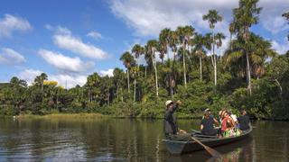 Por qué debemos proteger Tambopata, el verdadero oro del Perú