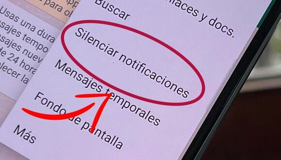 Whatsapp Cómo Saber Si Tu Expareja Te Silenció Aplicaciones Hacks Truco 2022 1609
