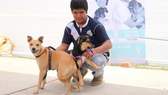La Libertad: Trujillo tendrá su primera maratón canina
