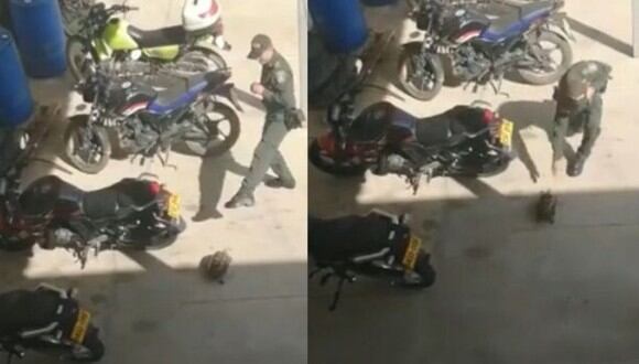 En el video viral de Facebook se puede ver al policía hacer poses de artes marciales frente a la tortuga (Foto: Captura de video)