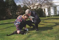 Socks, el gato de los Clinton en la Casa Blanca 