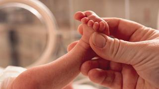 Así es el primer útero artificial que desarrollaron en Holanda y permitirá “renacer” a los bebés