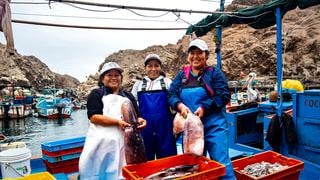 COVID-19 en Perú: ¿cómo enfrentan la crisis las mujeres pescadoras que siguen en cuarentena? 