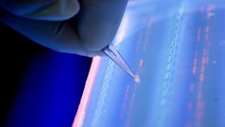 Edición genética: Crean 2 nuevas técnicas para enmendar mutaciones