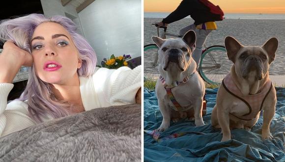 Ryan Fisher, paseador de perros de Lady Gaga, contó cómo vivió el trágico momento en que le dispararon y quitaron a las mascotas. (Foto: Instagram / @ladygaga).