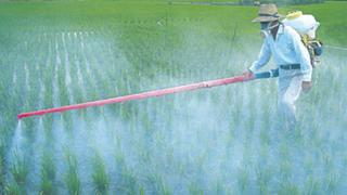 Fertilizantes: La úrea, elquímico mucho más contaminante que el CO2